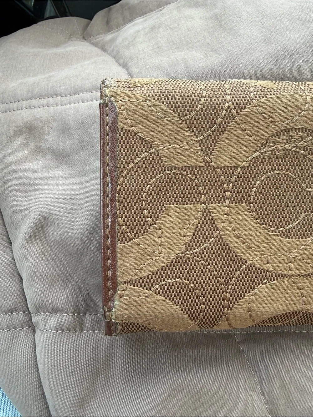 Project coach wallet